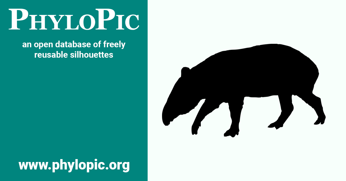 Tapirus Pinchaque PhyloPic