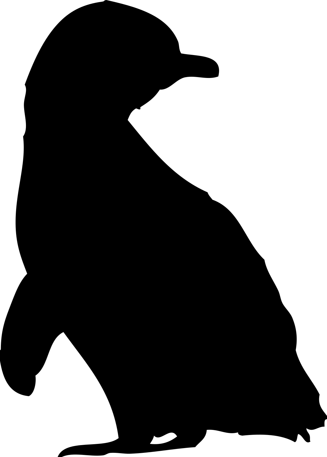 Eudyptula minor by Fir0002/Flagstaffotos (photo), John E. McCormack, Michael G. Harvey, Brant C. Faircloth, Nicholas G. Crawford, Travis C. Glenn, Robb T. Brumfield & T. Michael Keesey (CC BY 3.0)