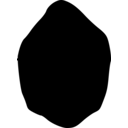 Protomyzostomum roseus