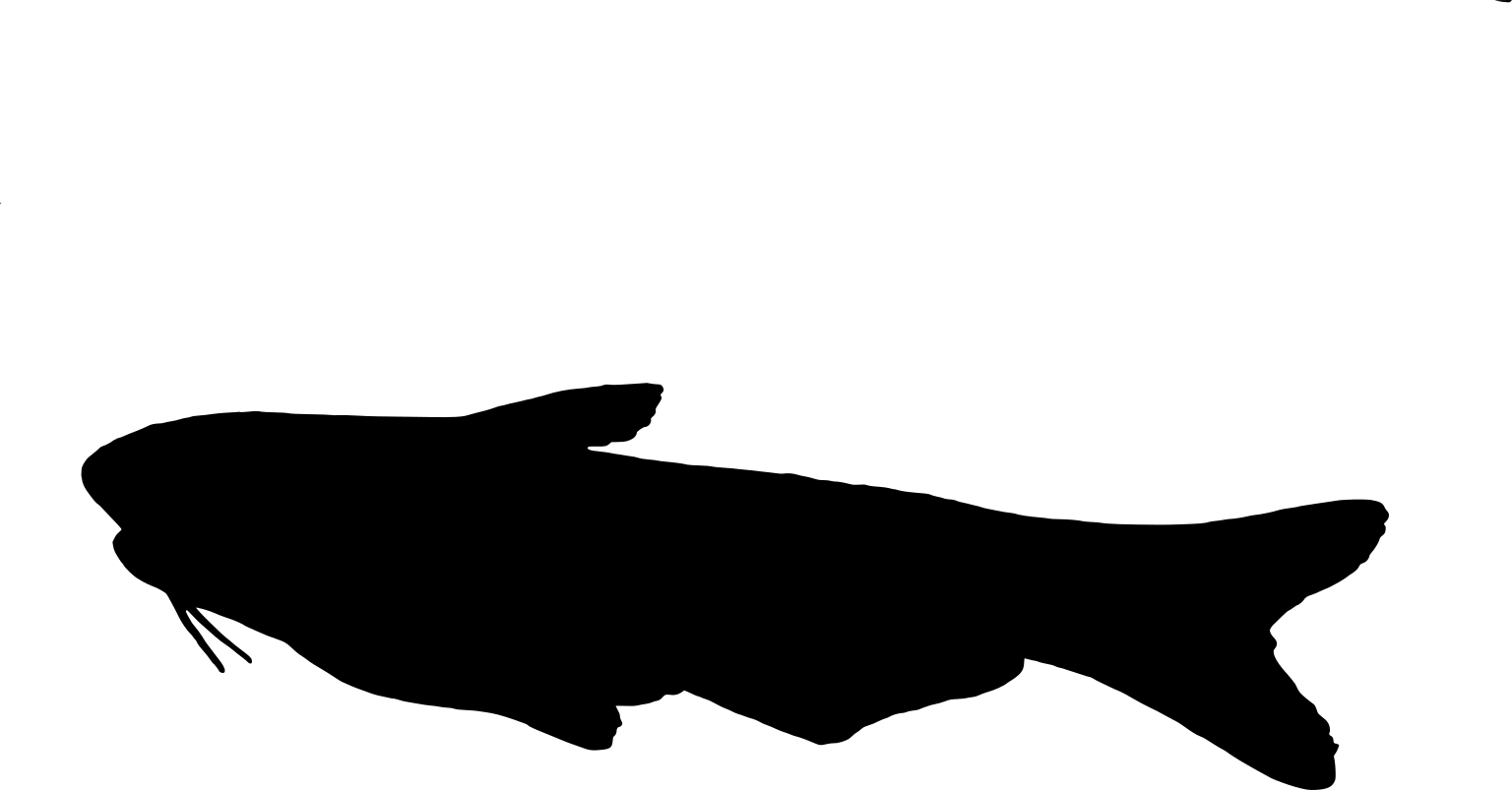 Cetopsis plumbea