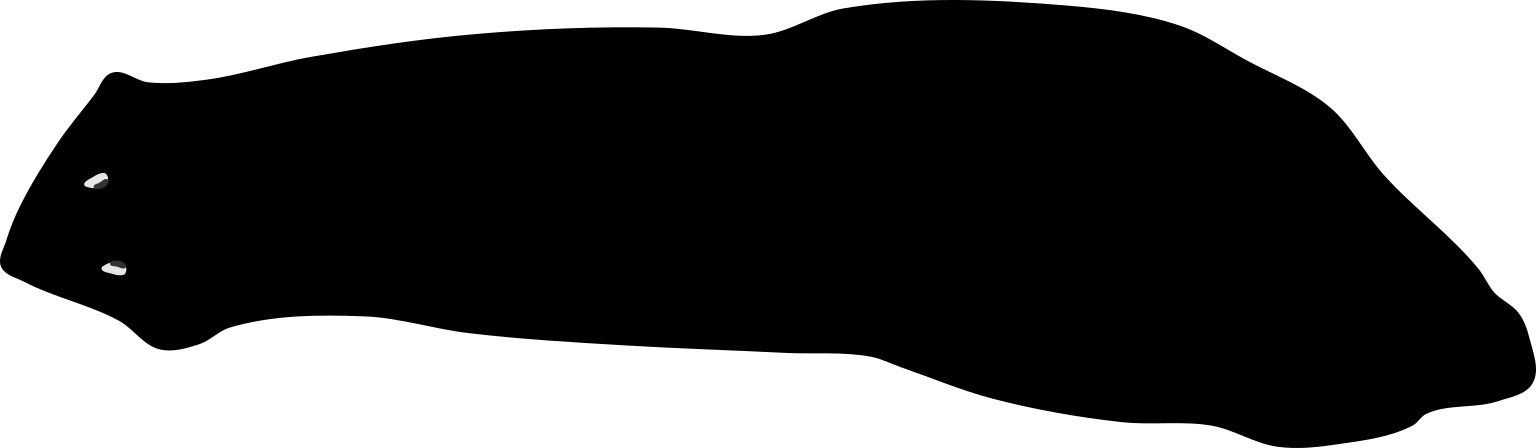 Dugesia aurea