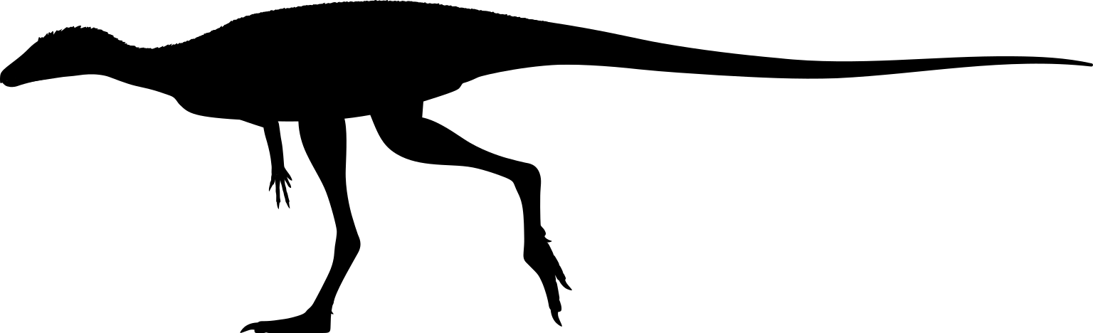 Archaeocursor asiaticus