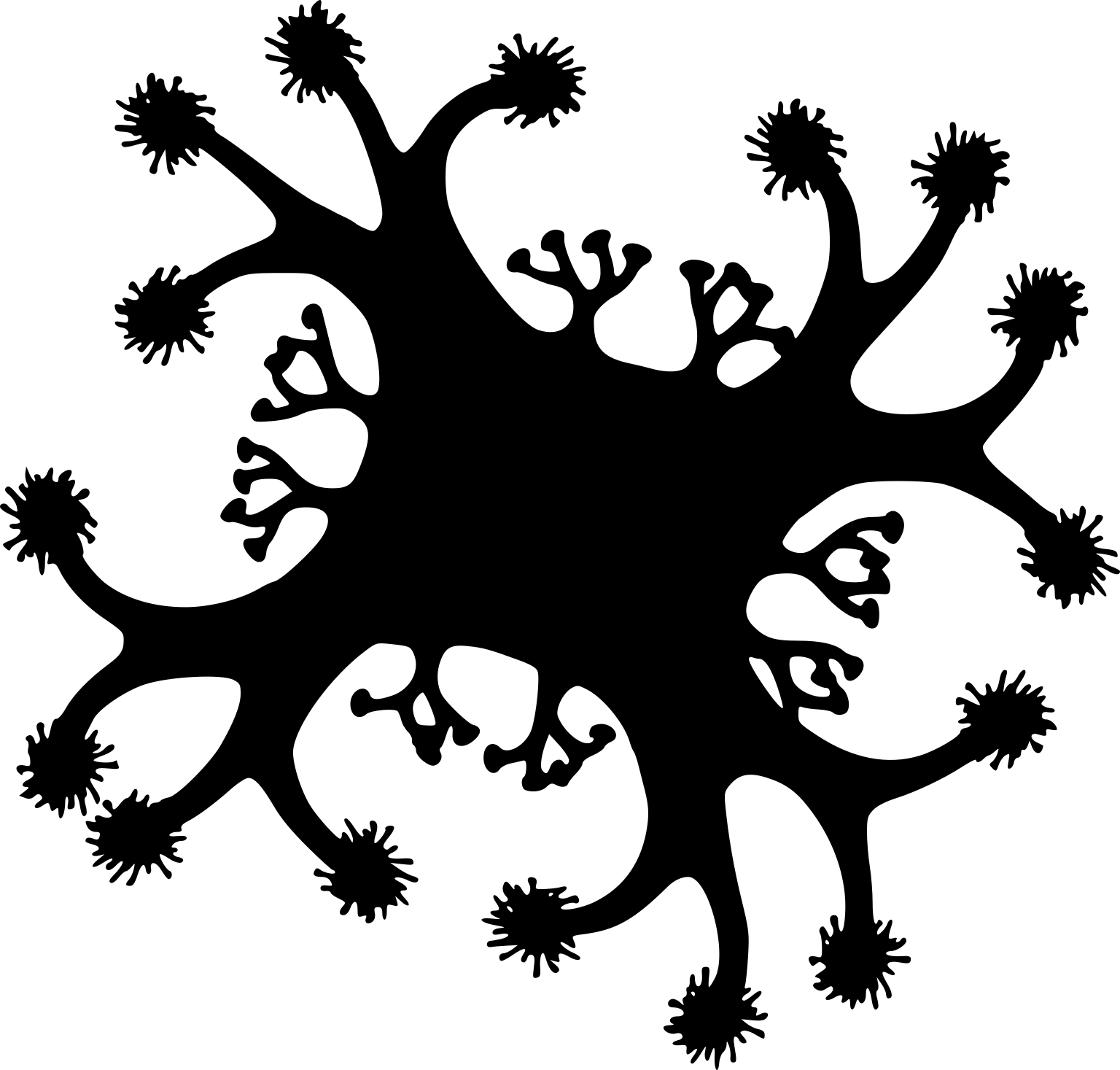Haootia quadriformis
