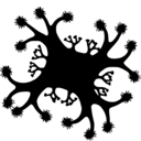 Haootia quadriformis