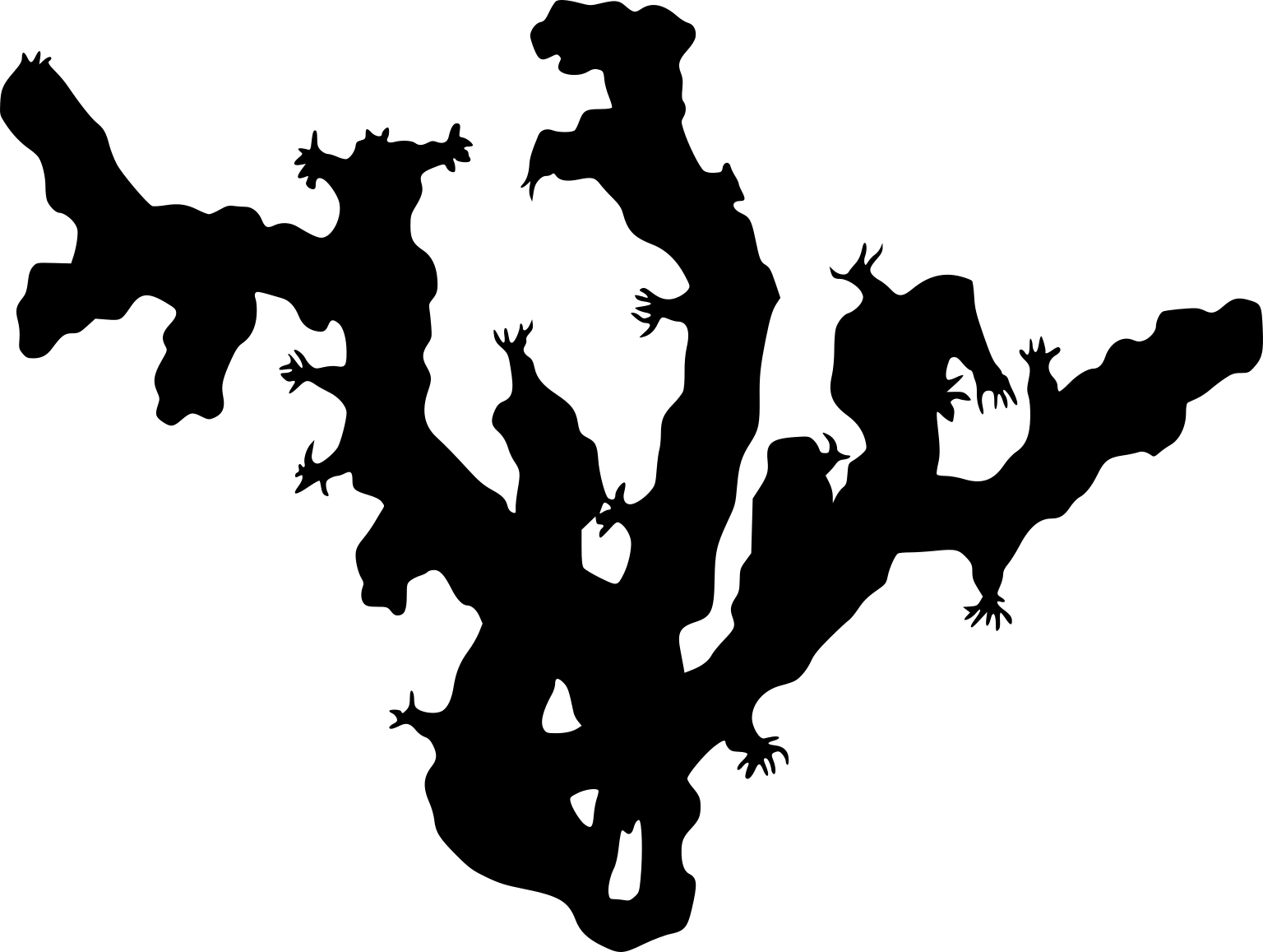 Corallium rubrum