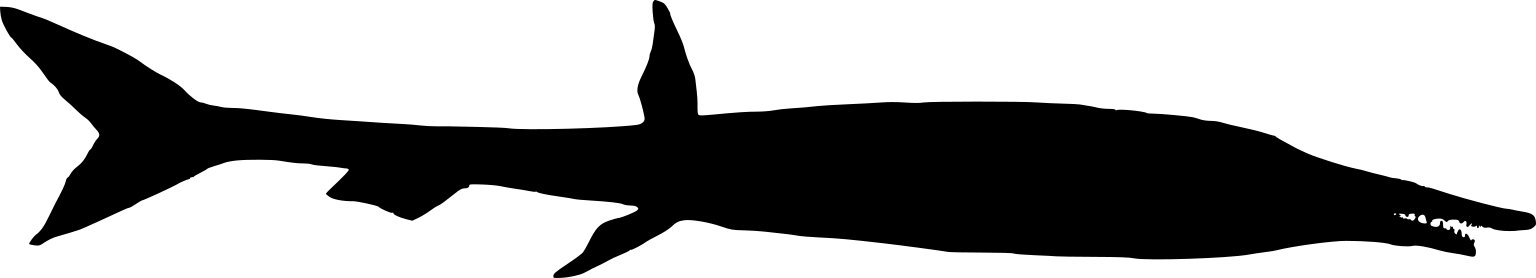 Candelarhynchus padillai