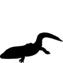 Cochleosaurus bohemicus