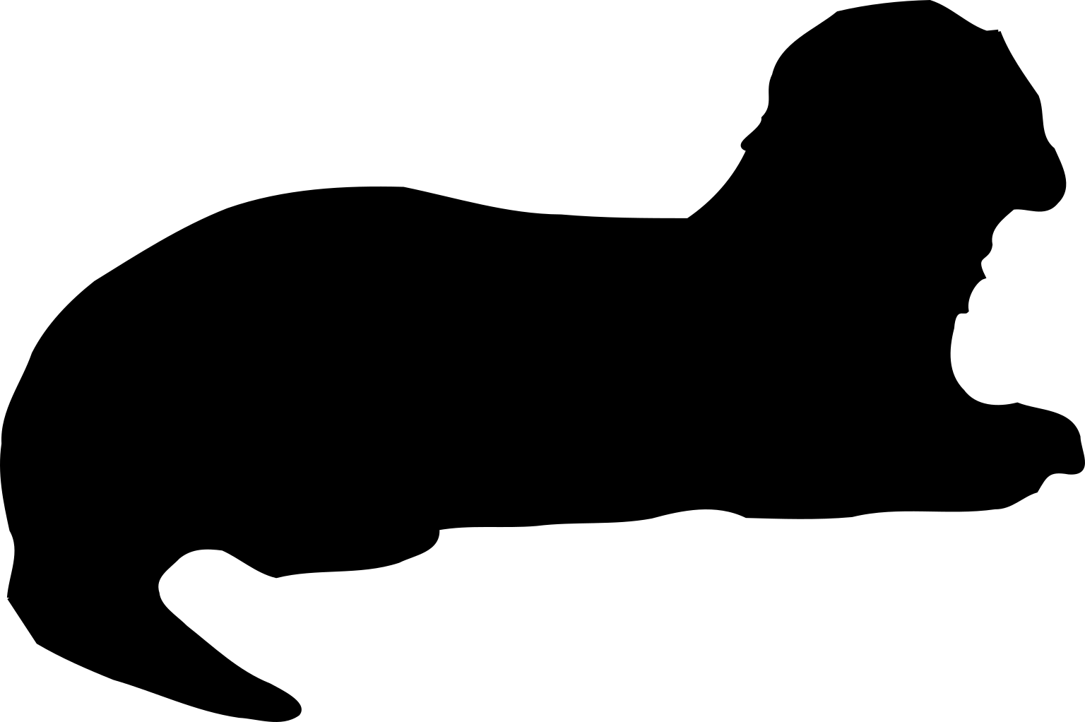 Lutra lutra
