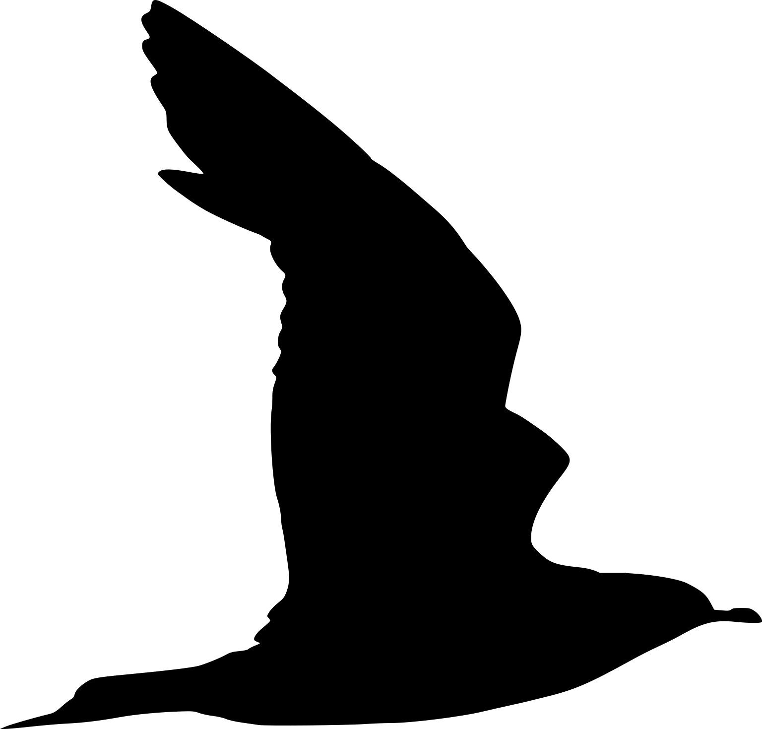 Stercorarius parasiticus
