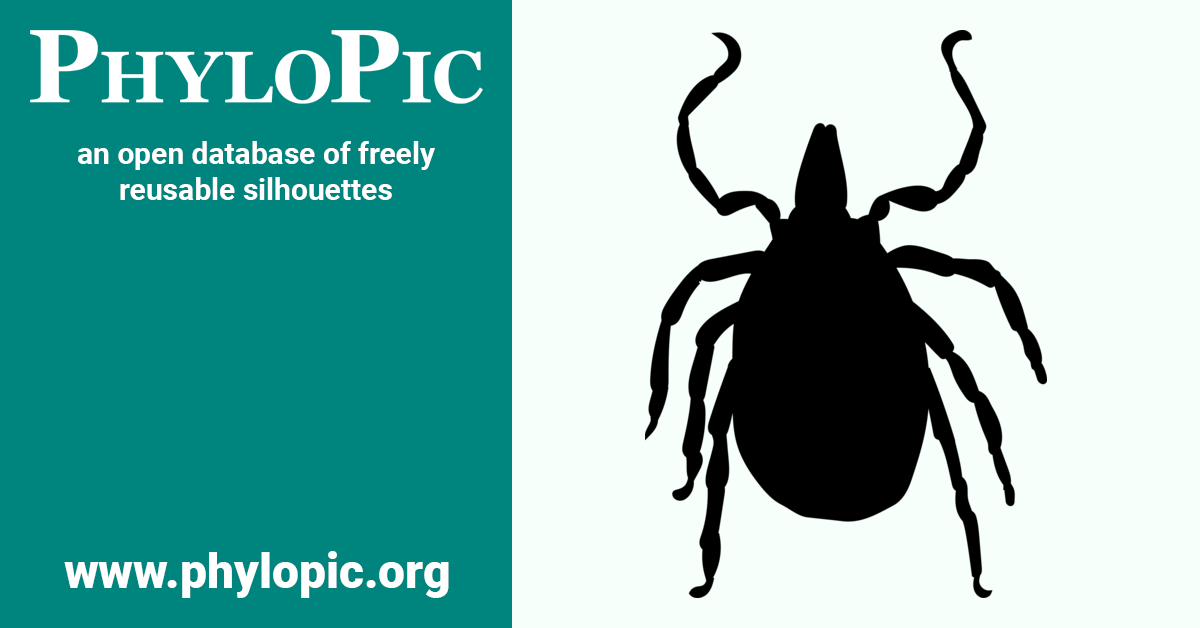 Ixodes holocyclus by Henry Lydecker (CC BYNCSA 3.0) PhyloPic
