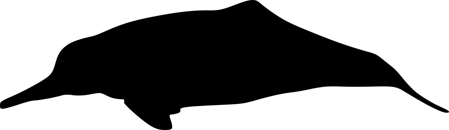 Lipotes vexillifer