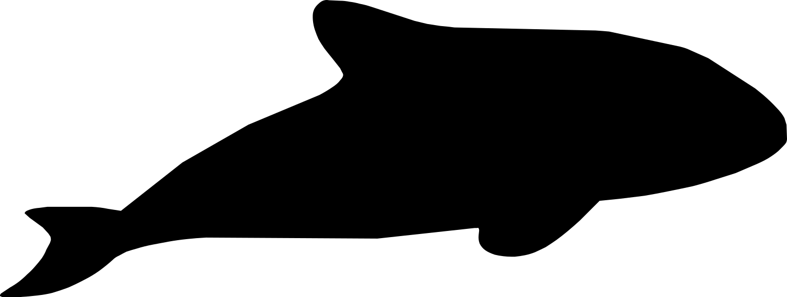 Cephalorhynchus hectori