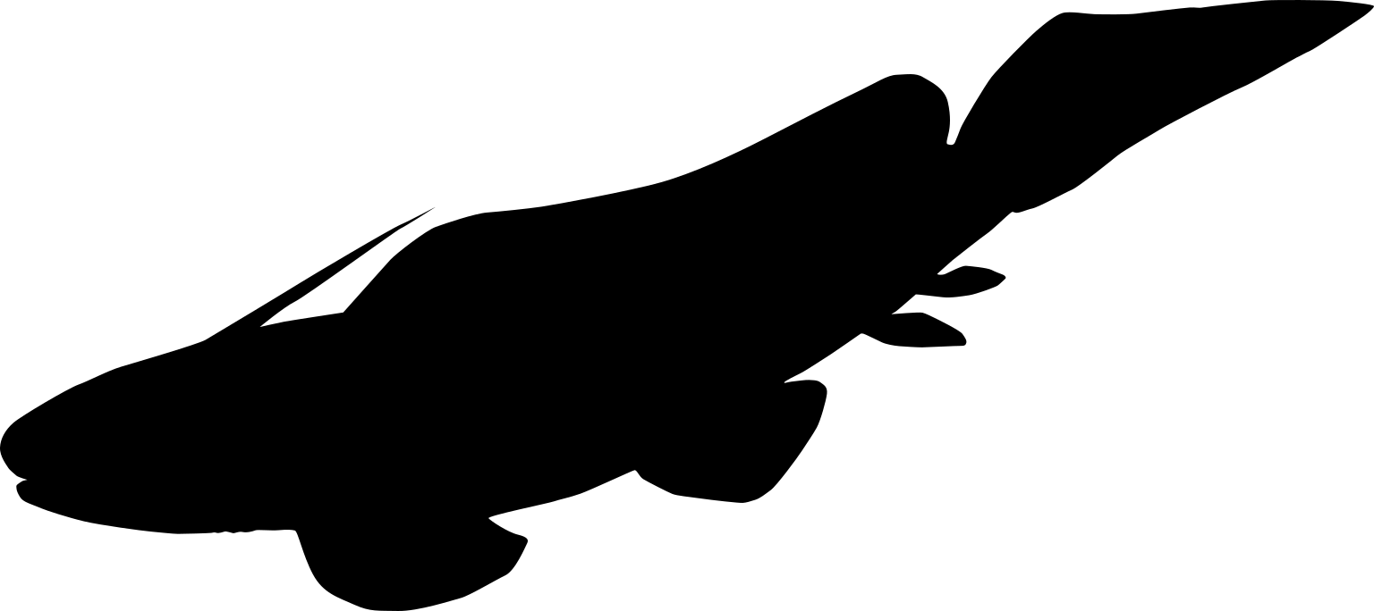 Xenacanthus decheni