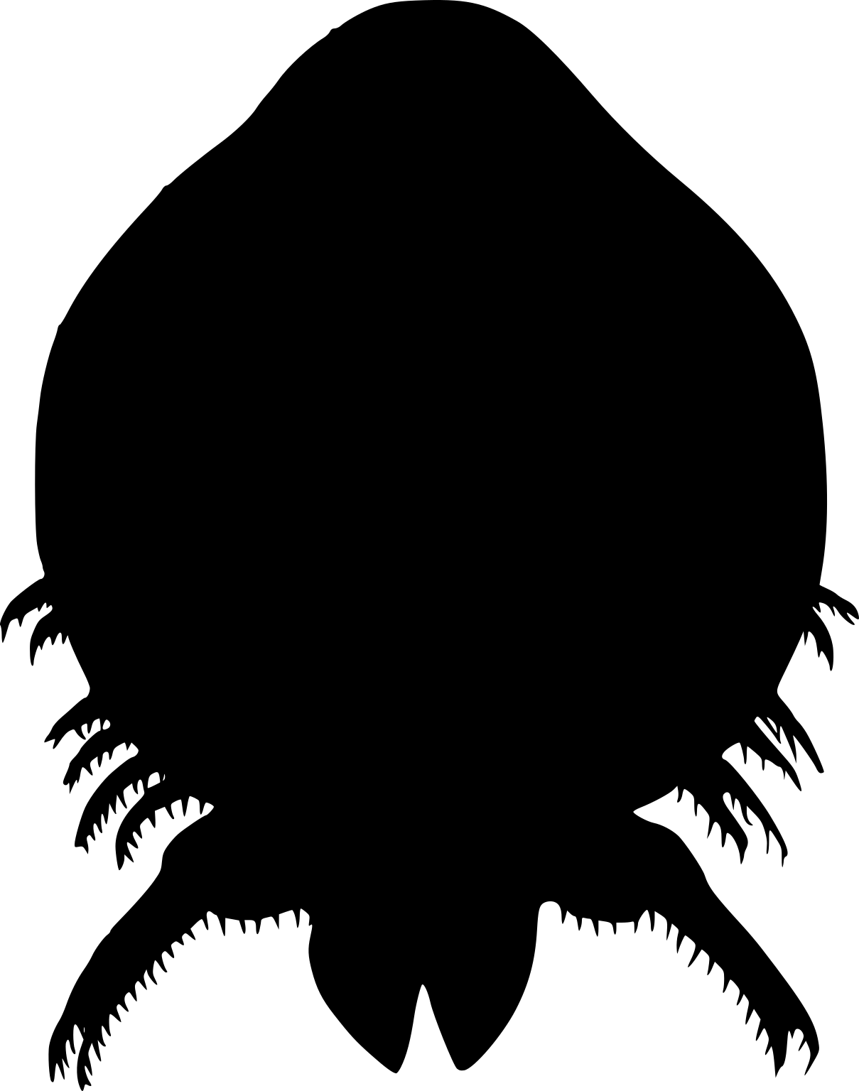 Dolops bidentata