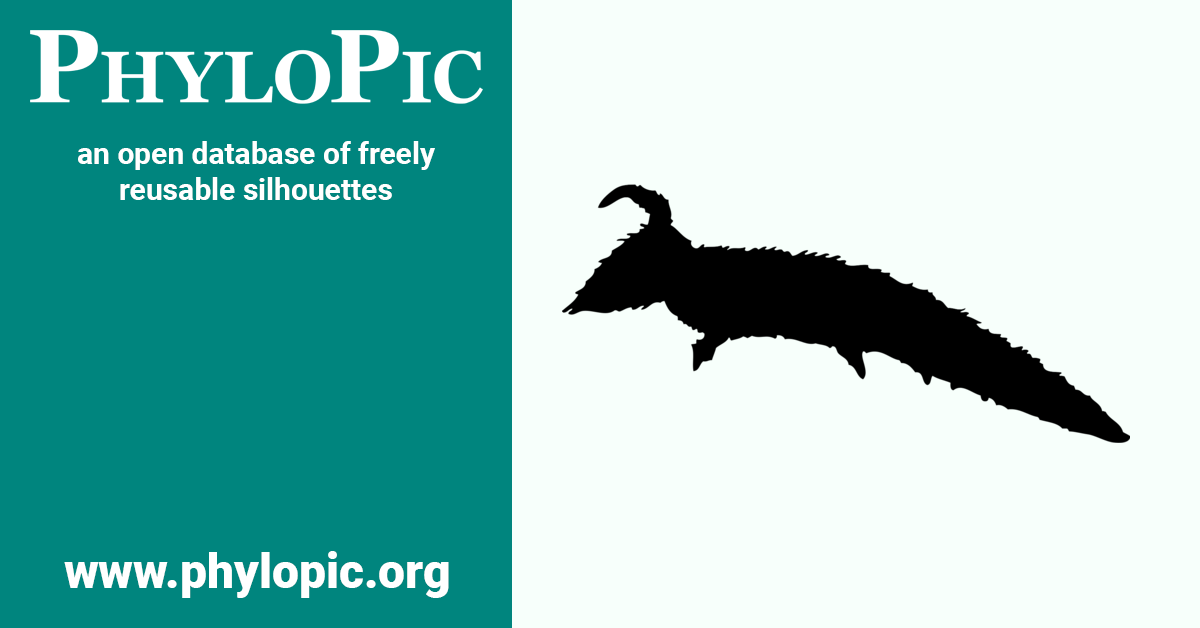 Acerentomon doderoi by White Wolf (CC BYSA 3.0) PhyloPic