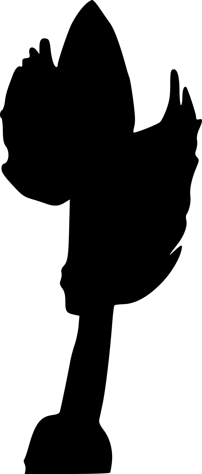 Charniodiscus concentricus