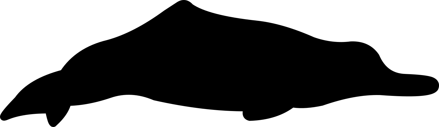Lipotes vexillifer