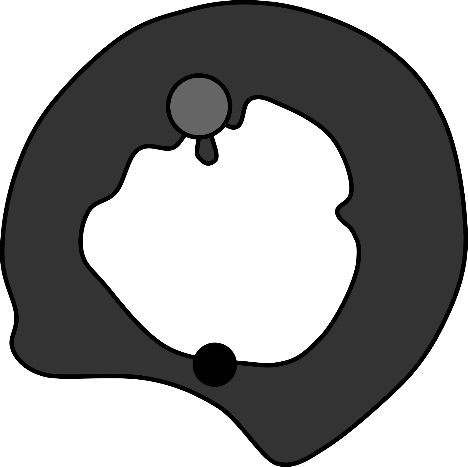 Poribacteria morphotype 3