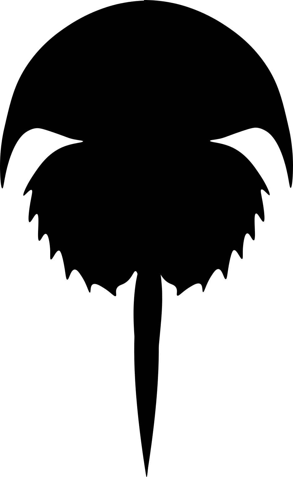Euproops