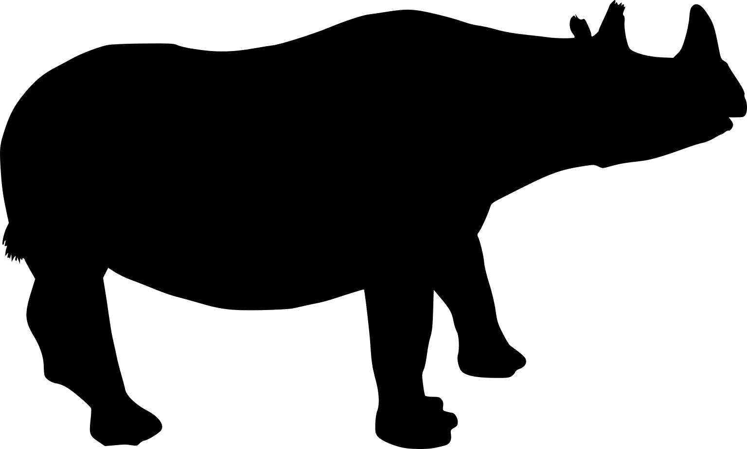 Nesorhinus hayasakai