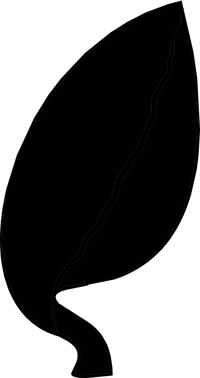 Neoarticulata