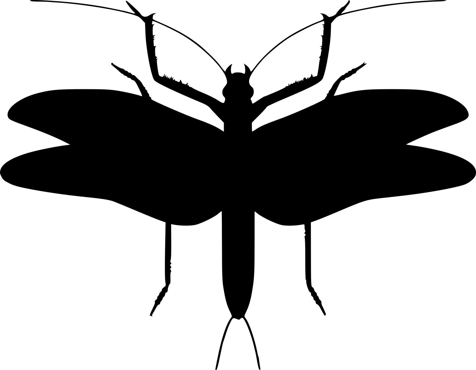 Clathrotitan scullyi