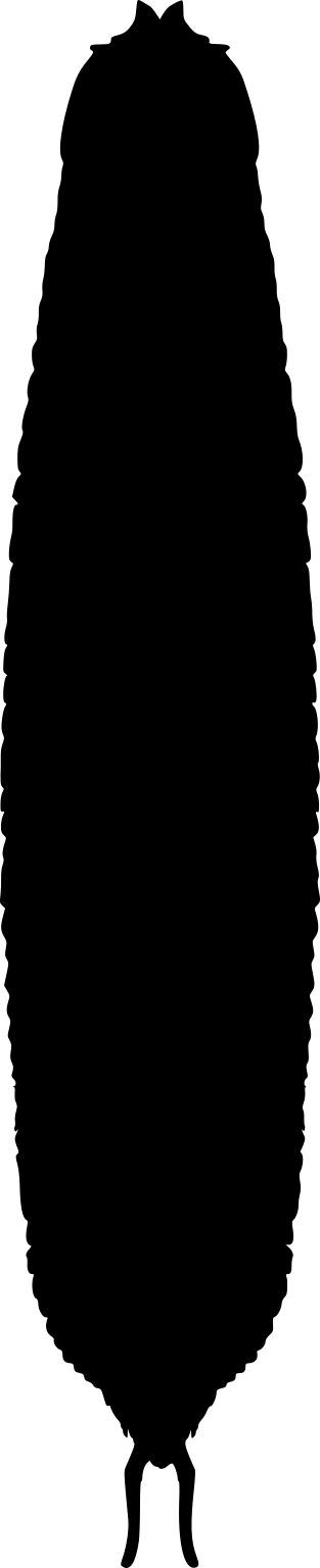 Tanazios dokeron