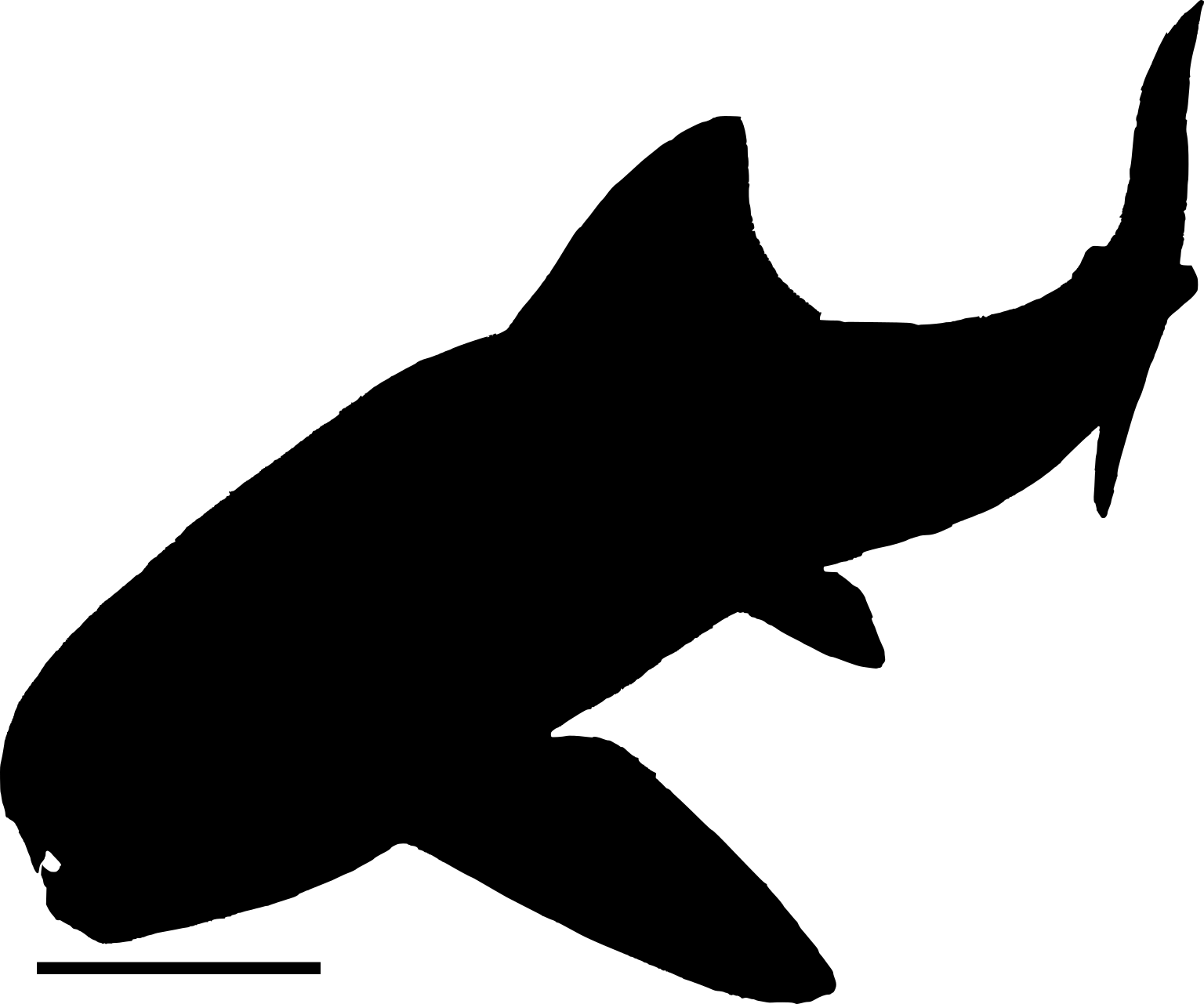 Dinichthys herzeri