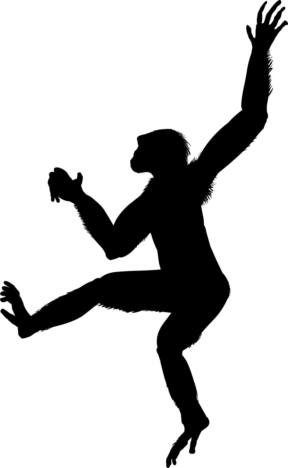 Sahelanthropus tchadensis