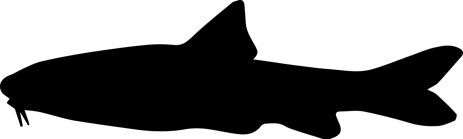 Gobio lozanoi