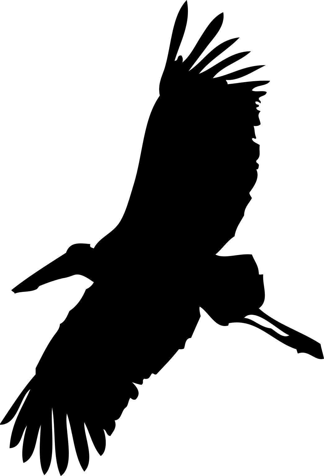 Leptoptilos javanicus