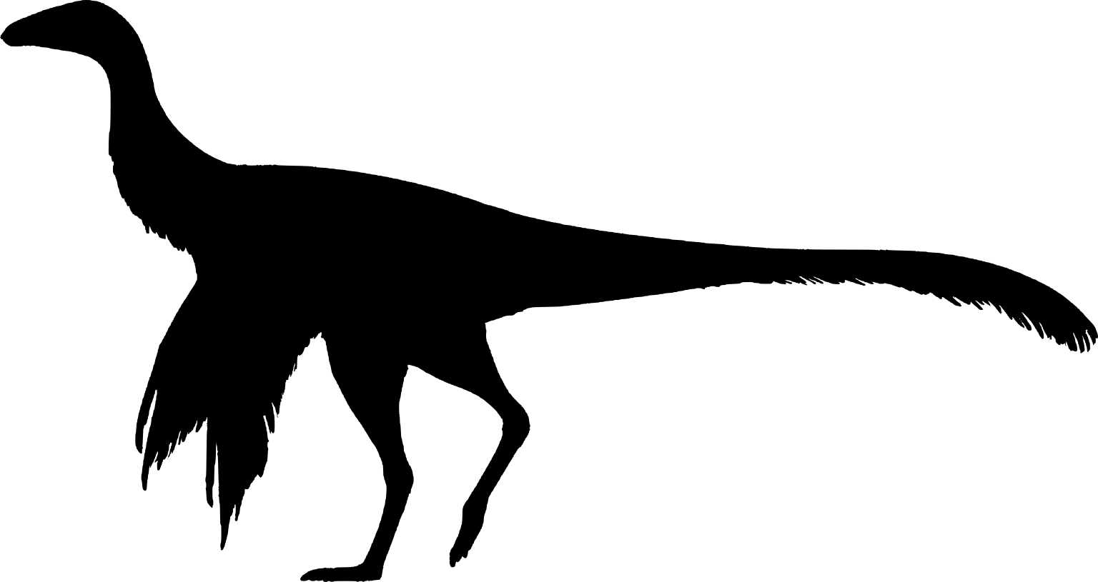 Mexidracon longimanus