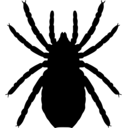 Palaeocharinus