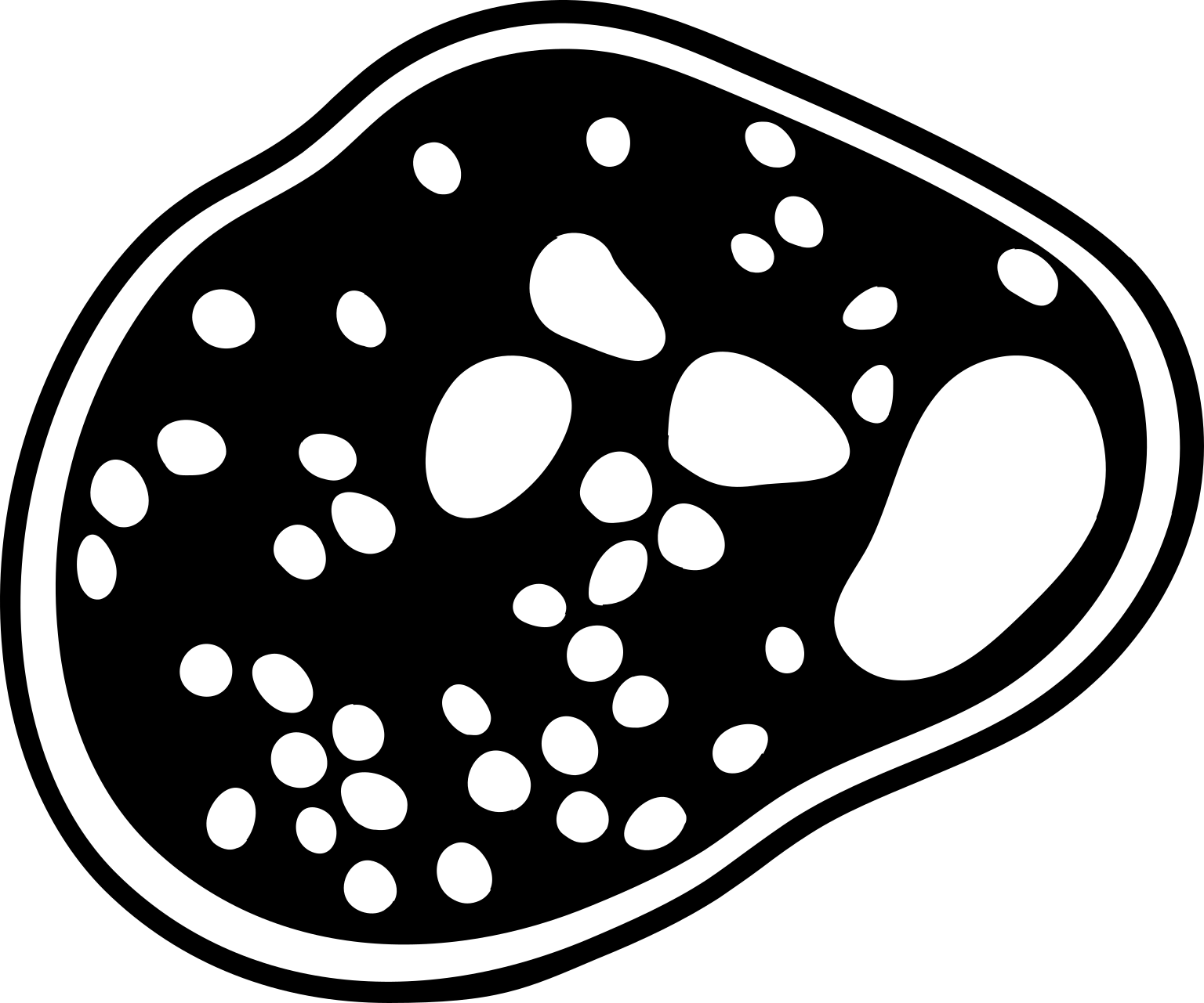 Abeoforma whisleri