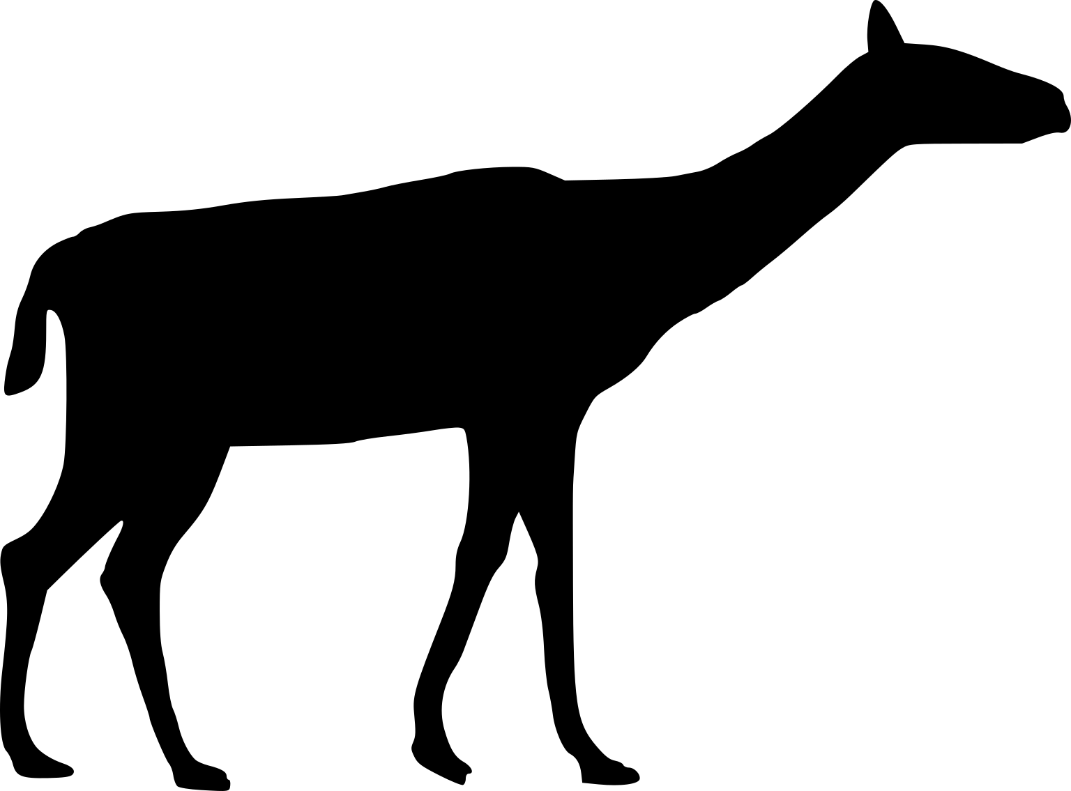 Palaeolama weddeli