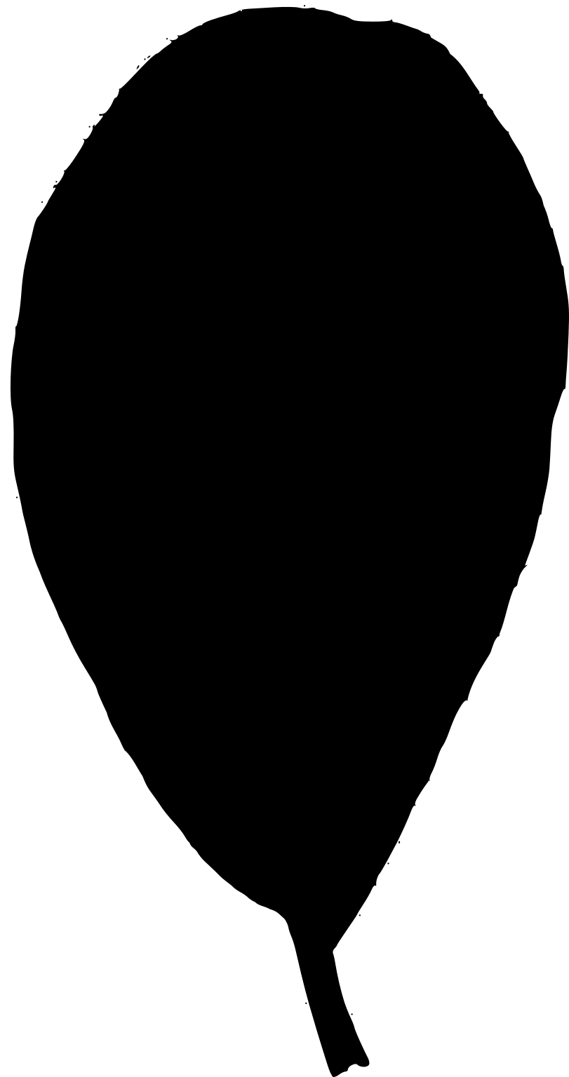 Salix cinerea