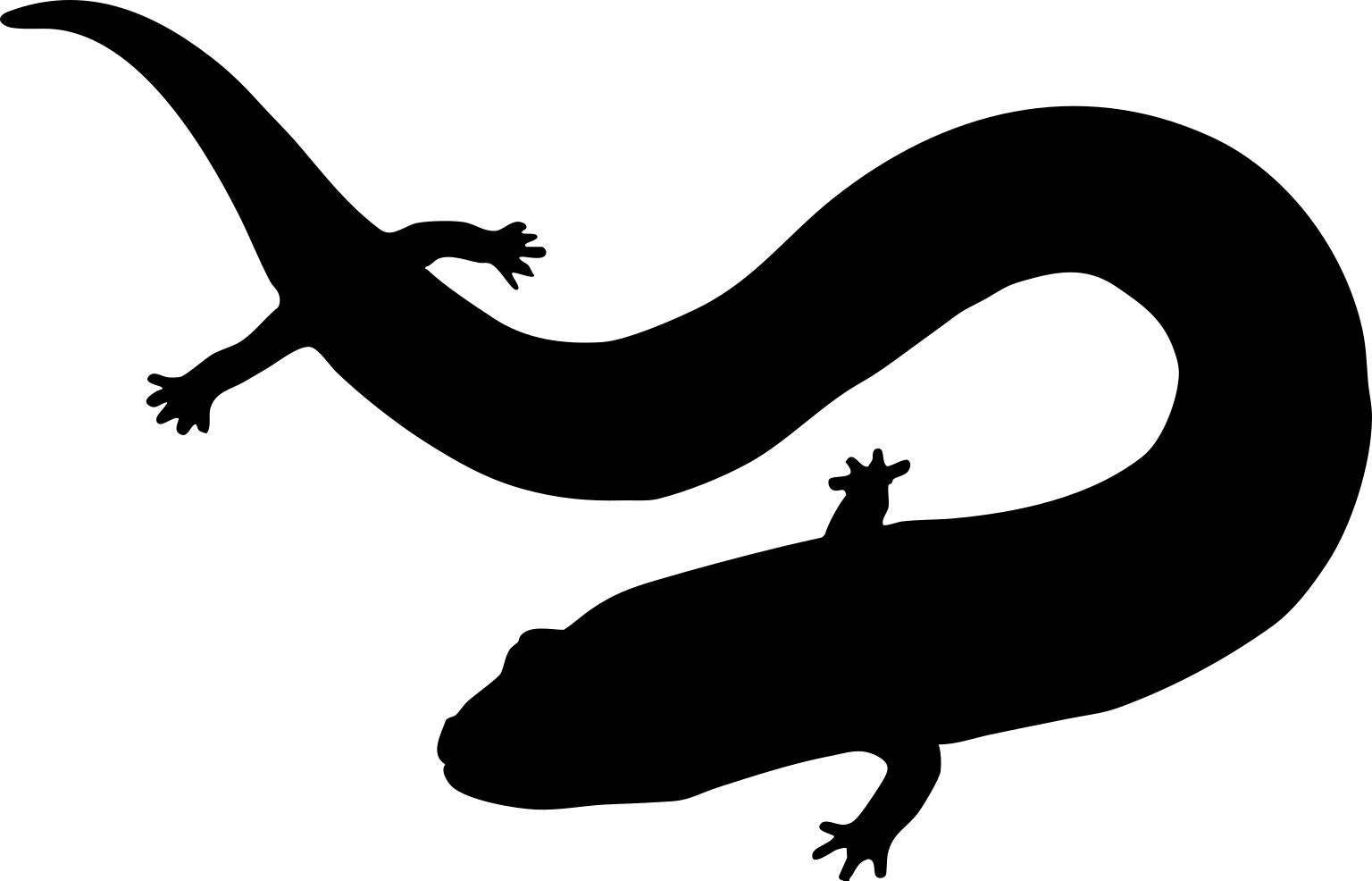 Funcusvermis gilmorei