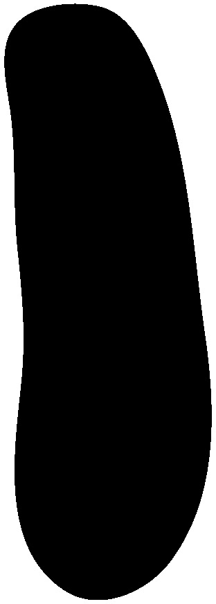 Thermodesulfovibrio yellowstonii
