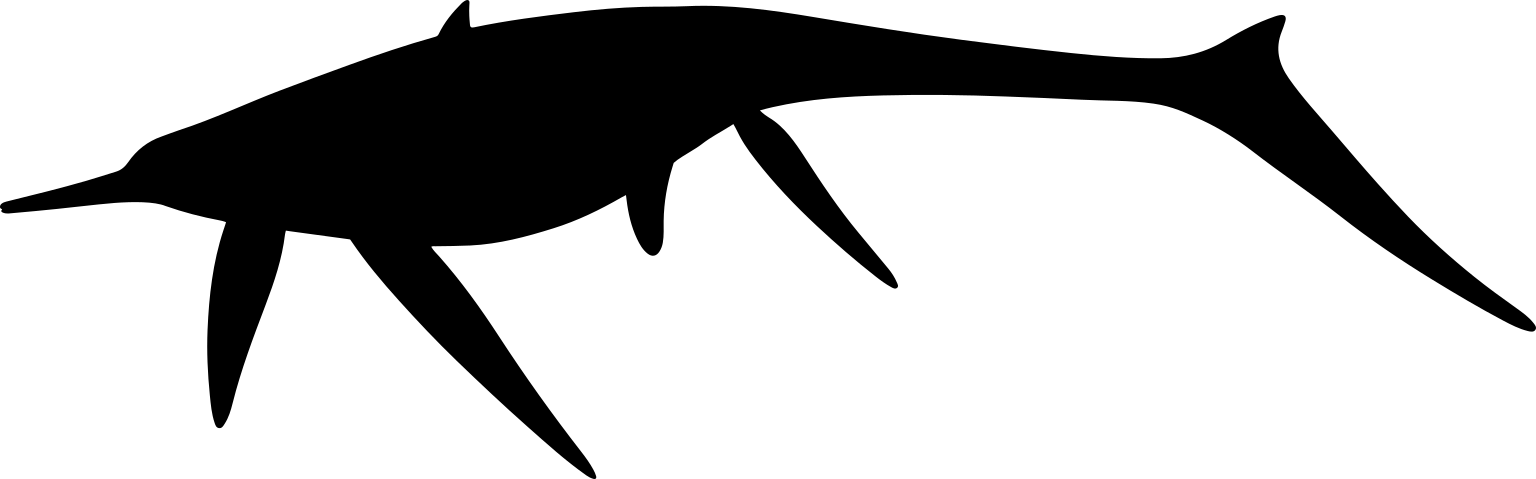Besanosaurus leptorhynchus