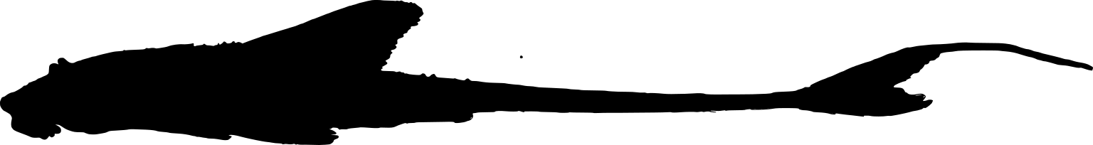 Rineloricaria eigenmanni