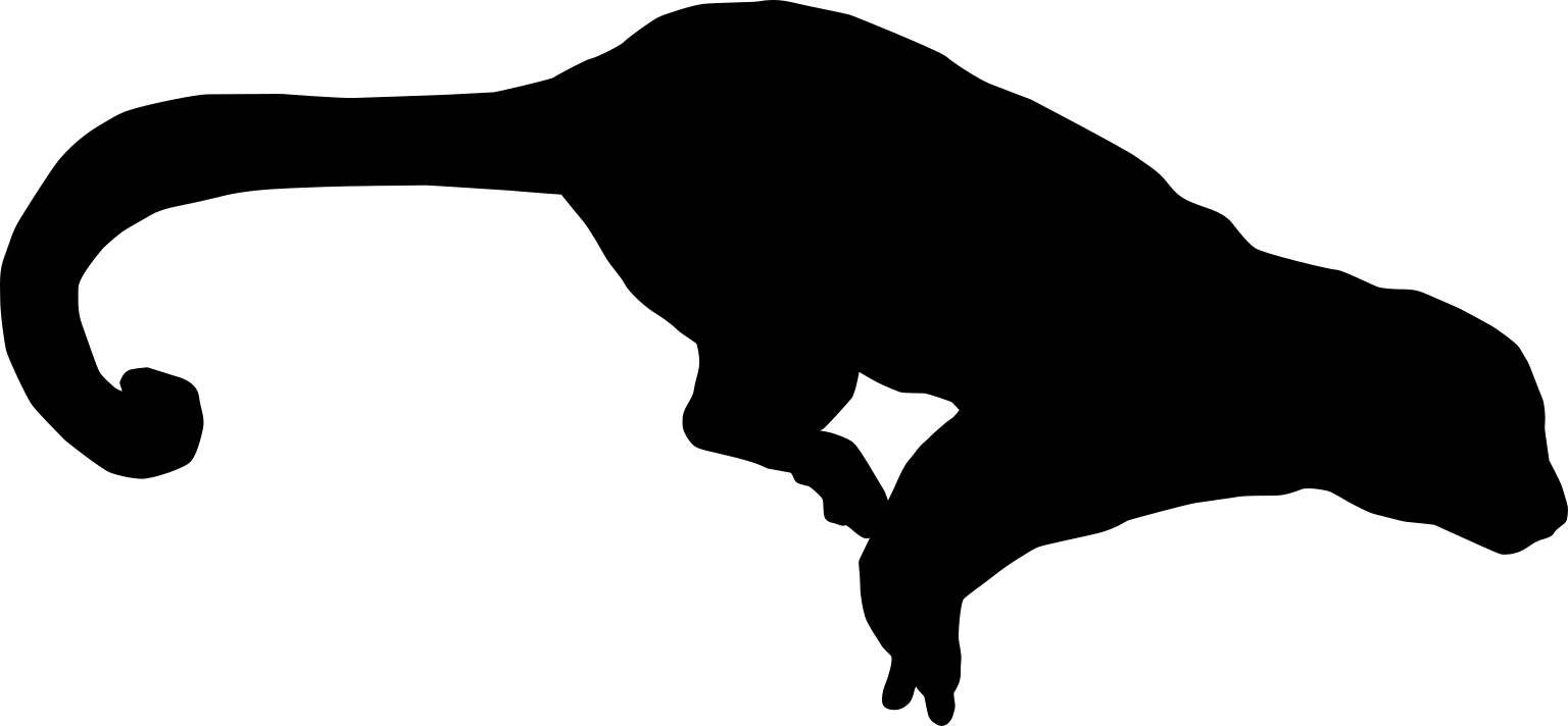 Potos flavus