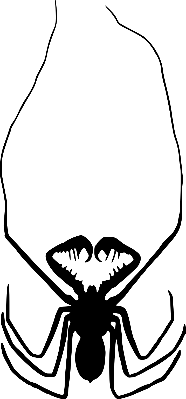 Catageus dammermani