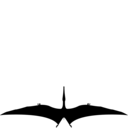 Anhanguera santanae