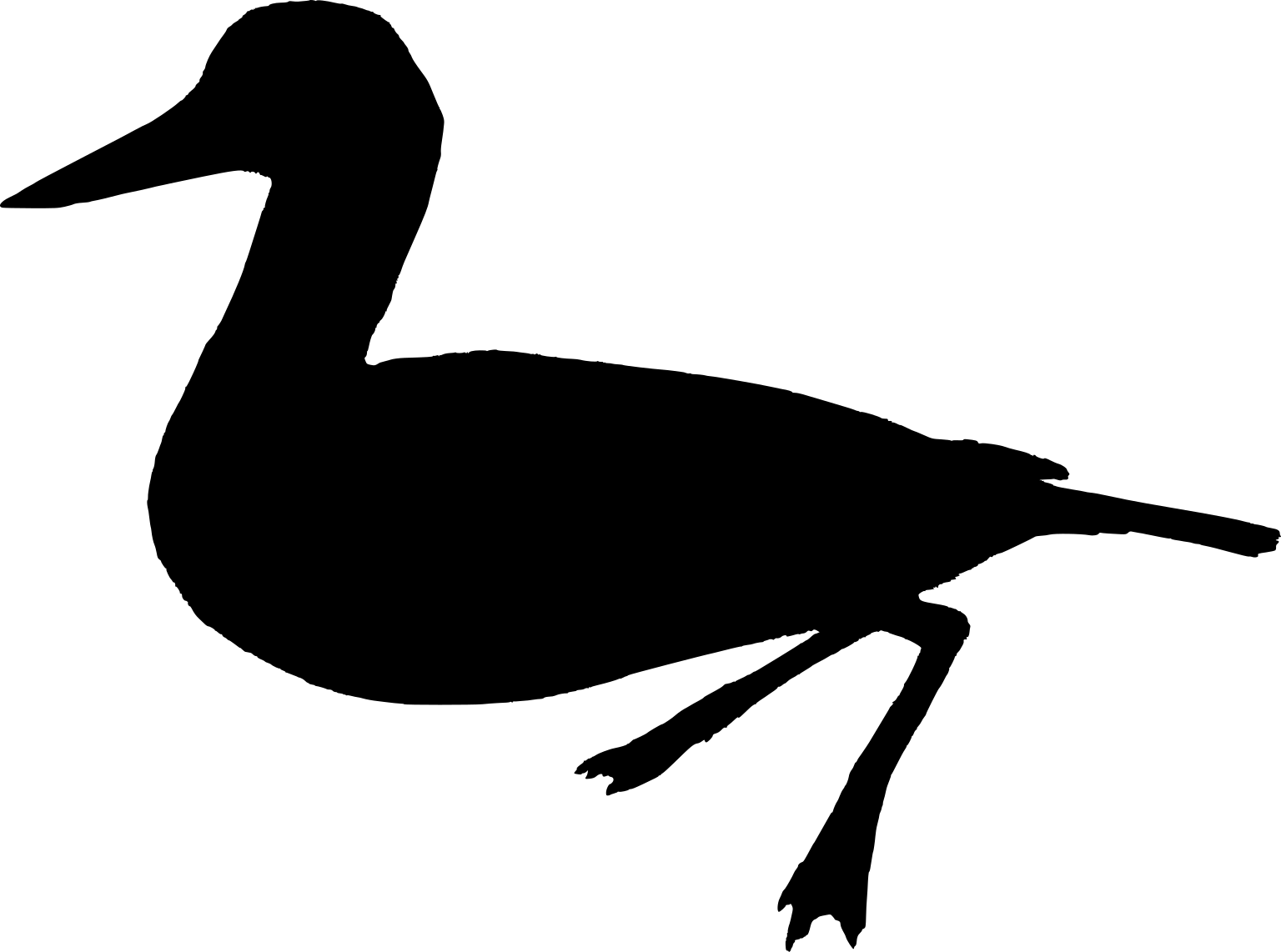 Vegavis iaai