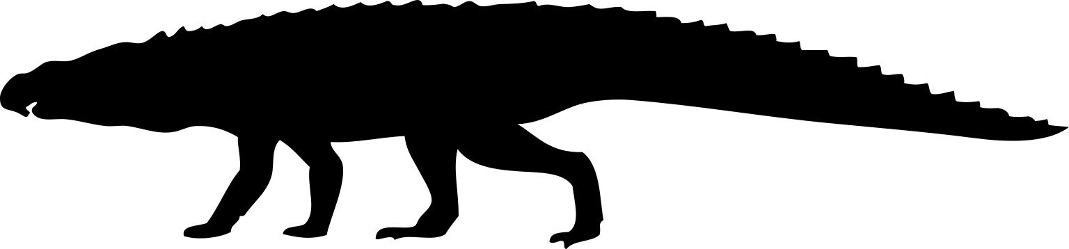 Riojasuchus tenuisceps