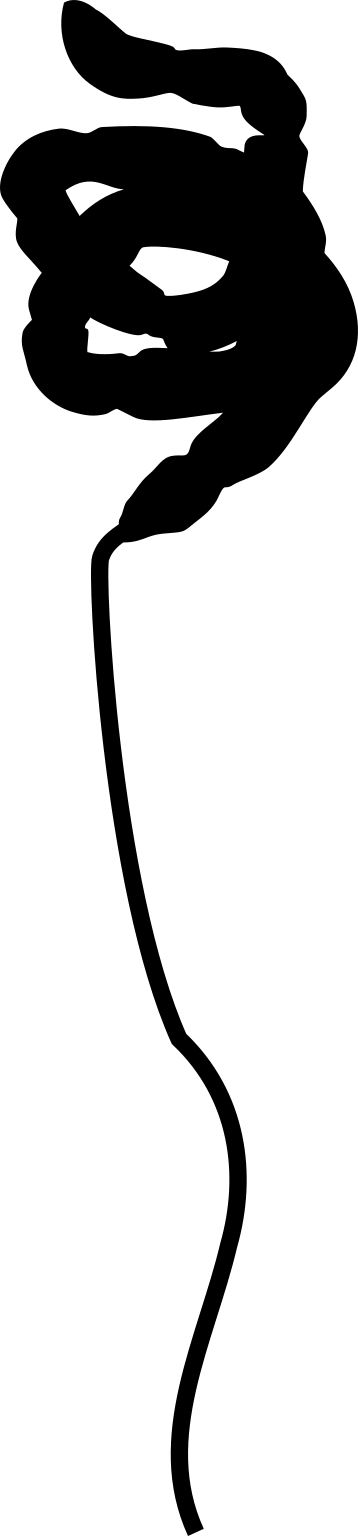 Helicocephalum