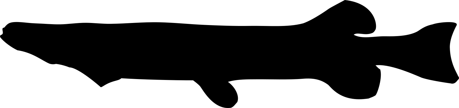 Galaxias