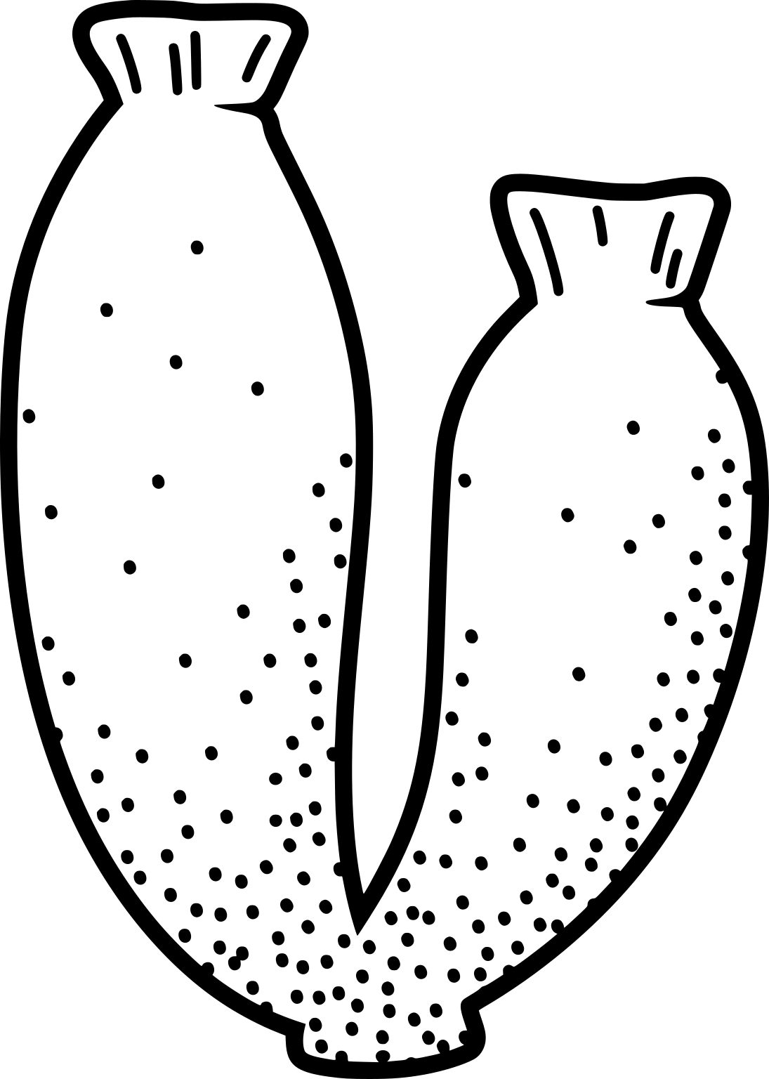 Sycon