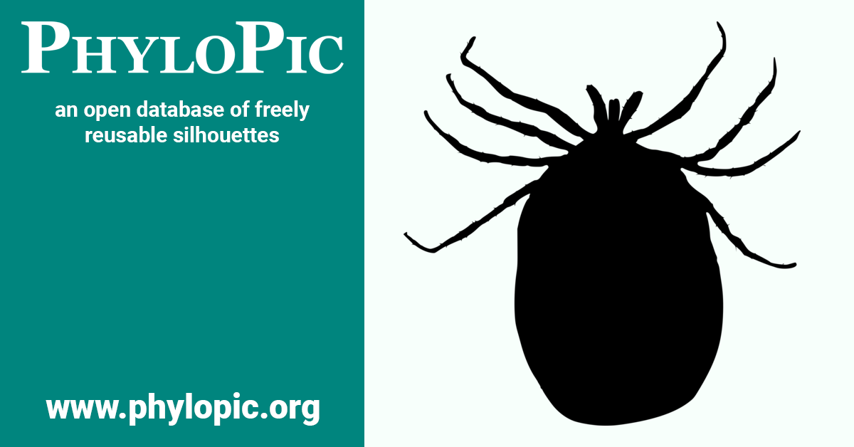Ixodes ricinus (CC0 1.0) - PhyloPic