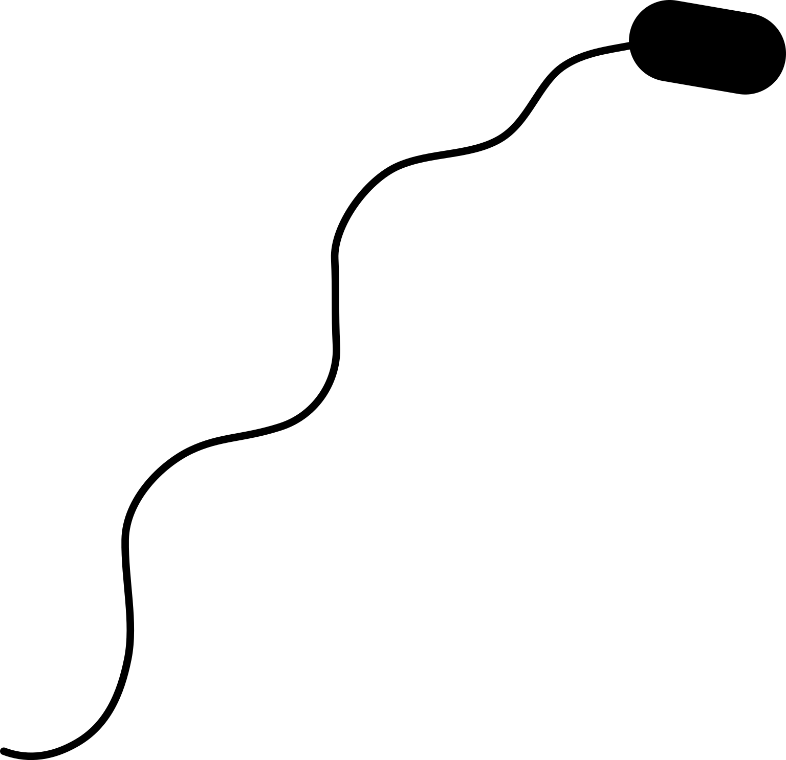 Thermodesulfobacterium commune